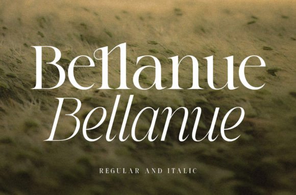 Bellanue Serif Font for Elegant Business Branding