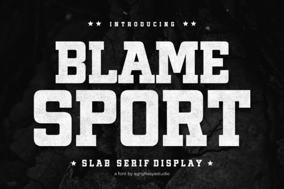 Blame Sport: A Dynamic Slab Serif for Modern Web Design