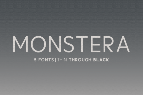 Monstera Sans Serif Font for Clean Logos and Branding Work